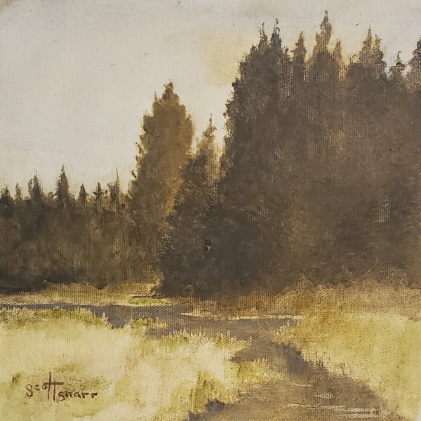 Glacier Pines by Scott Snarr