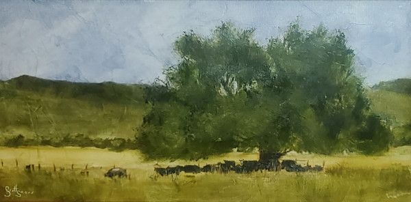 Shade Seekers by Scott Snarr