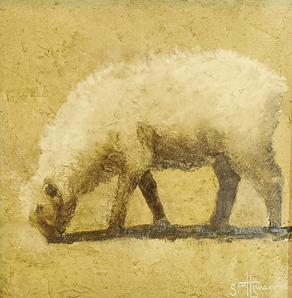 Ewe by Scott Snarr