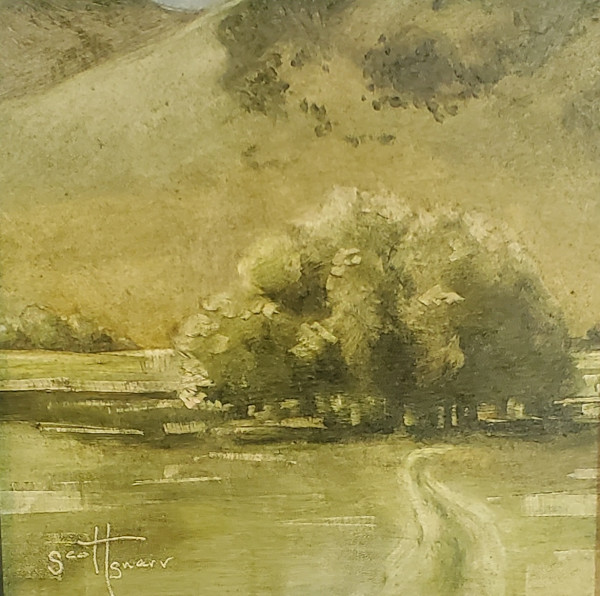Trees by Scott Snarr
