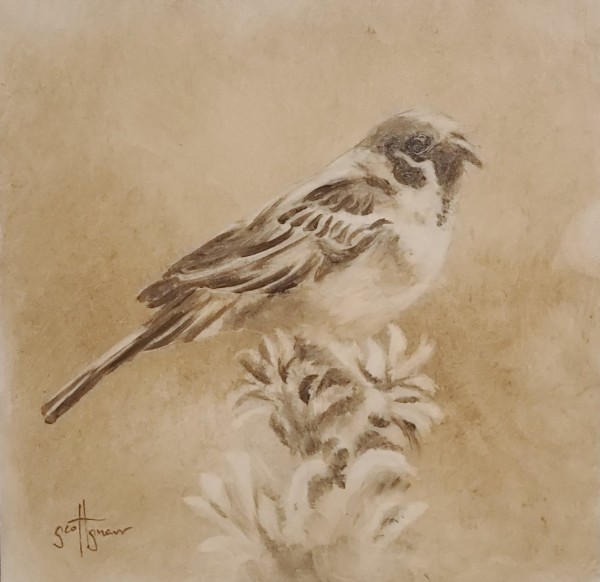 Balanced Sparrow by Scott Snarr