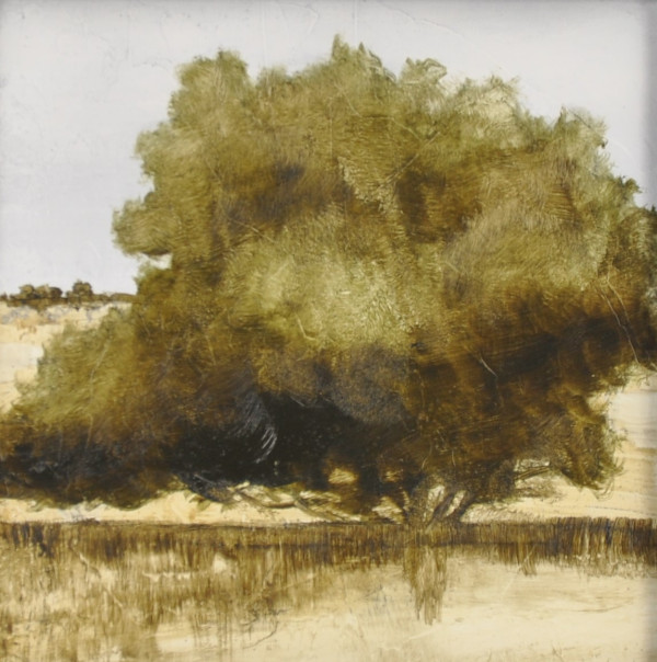 Tree Study III by Scott Snarr