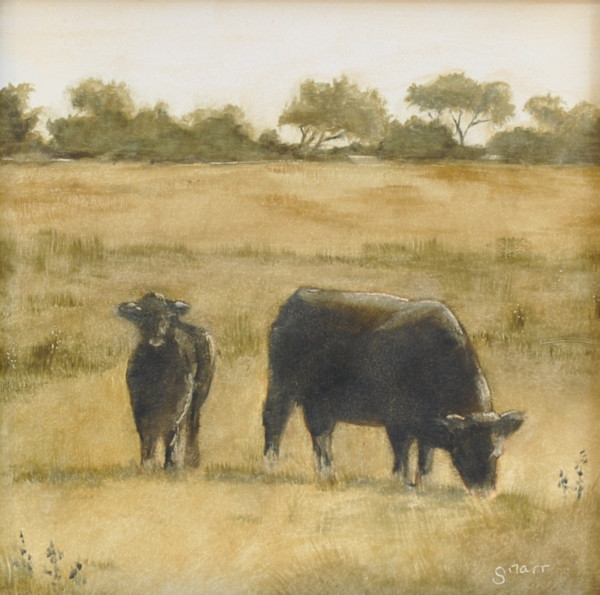 Cow and calf by Scott Snarr