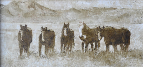 Wild Onaqui Horses by Scott Snarr