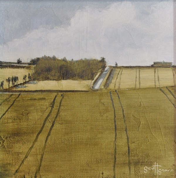 Green Fields by Scott Snarr