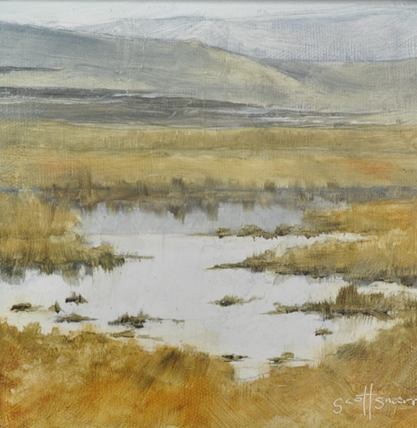 Benjamin Wetlands by Scott Snarr