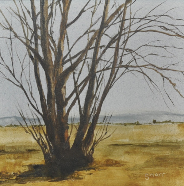 Winter Bones by Scott Snarr