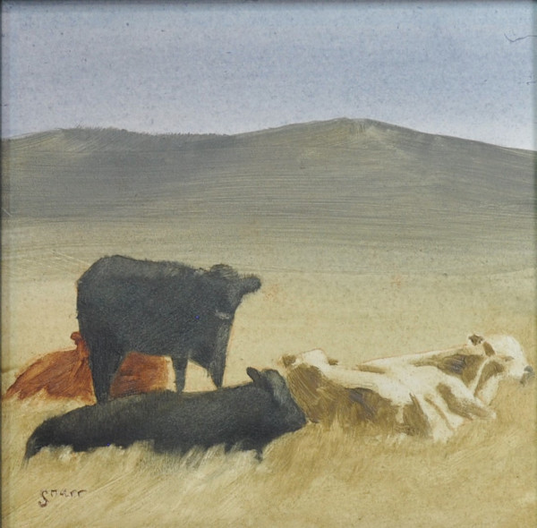 West Desert Cow Herd by Scott Snarr