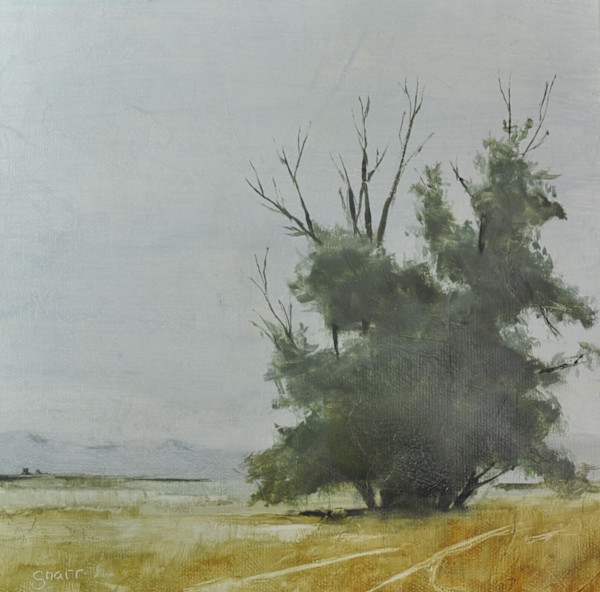Russian Olive by Scott Snarr