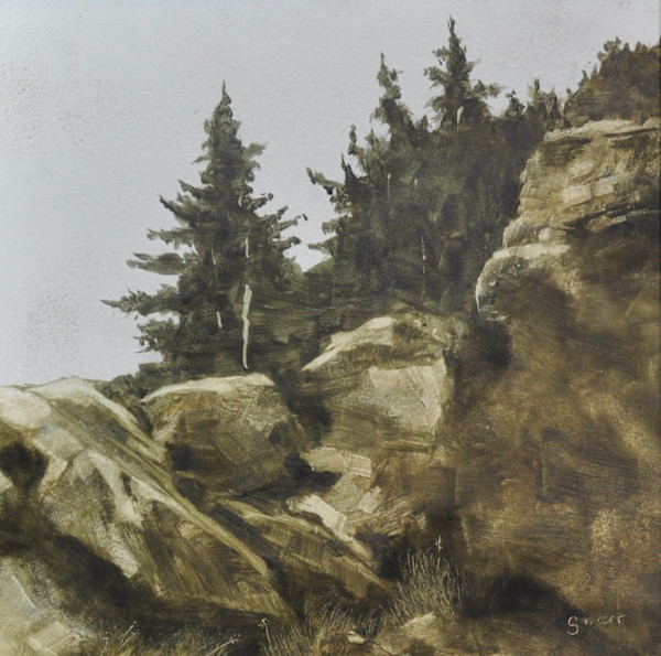 Rocks and Pines by Scott Snarr