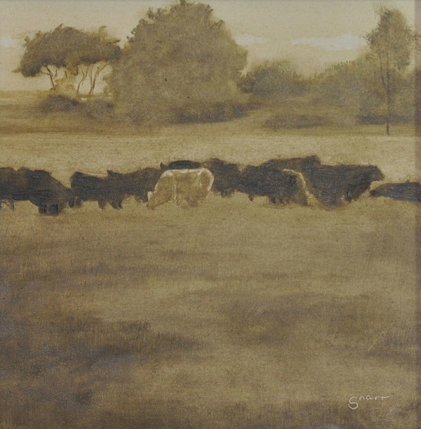 Misty Cows by Scott Snarr