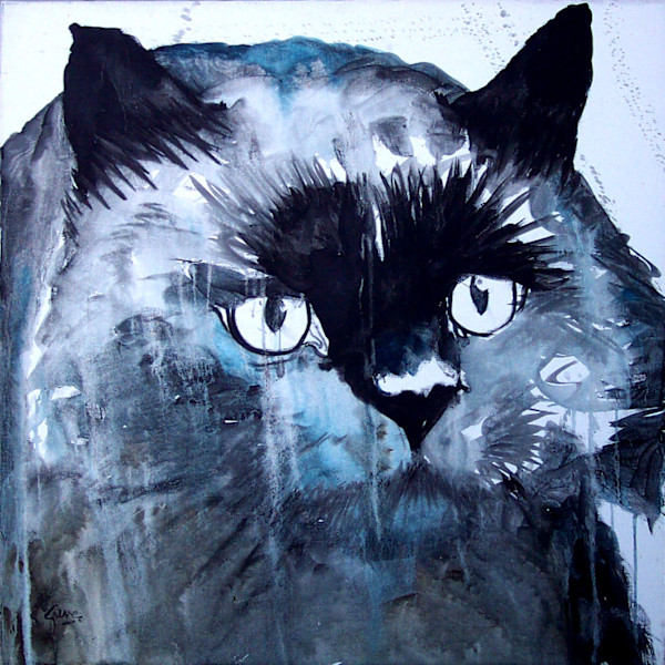 Black Cat* by Gerrit Greve