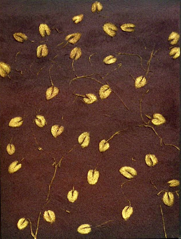 Perfect 35 by Gerrit Greve