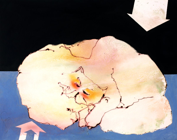 This Cat by Gerrit Greve