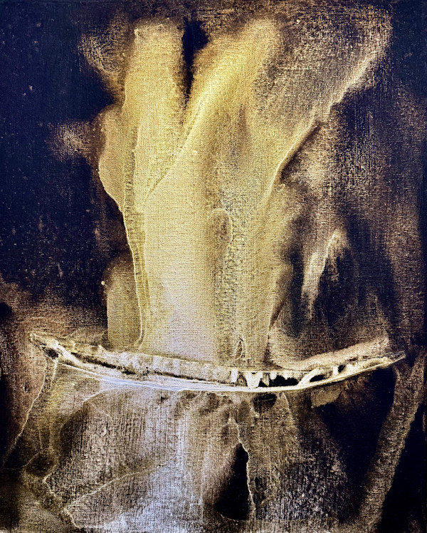 Voyage 336* by Gerrit Greve