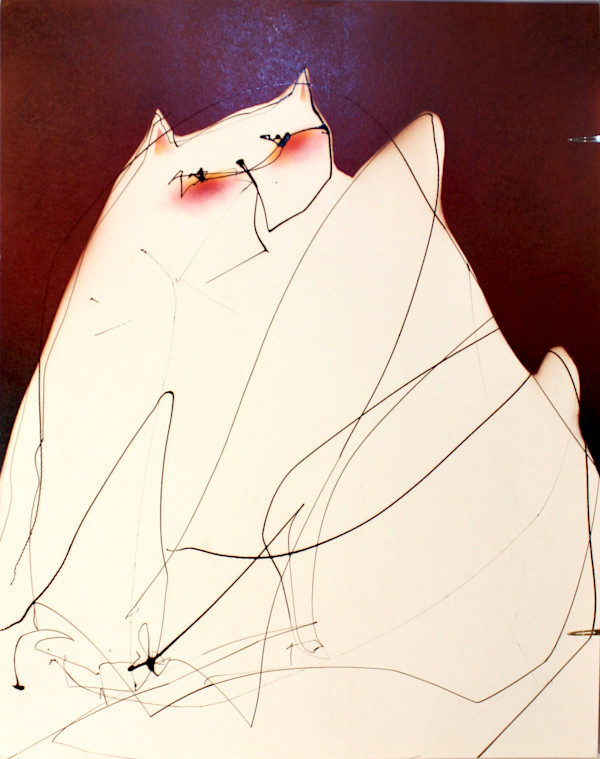 Pink Cheek Cat by Gerrit Greve