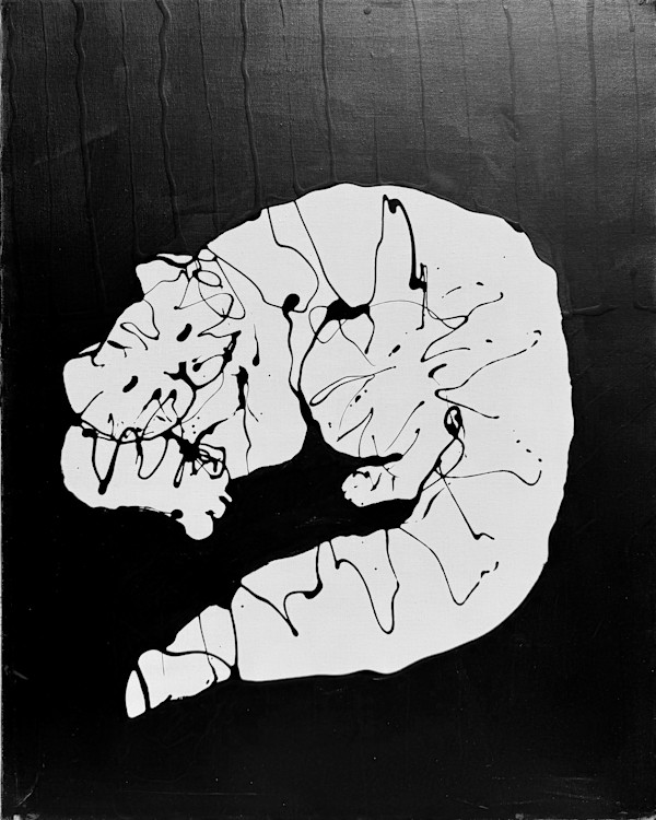 Cat on a Dark Bed by Gerrit Greve, Image 1.