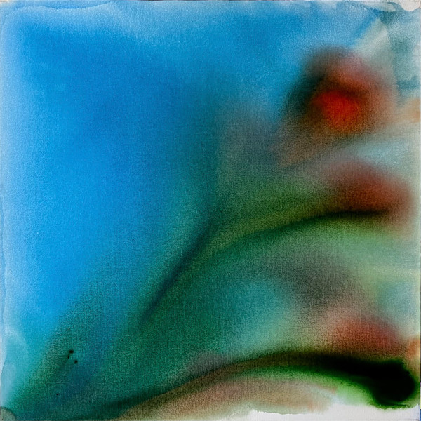 11 by Gerrit Greve