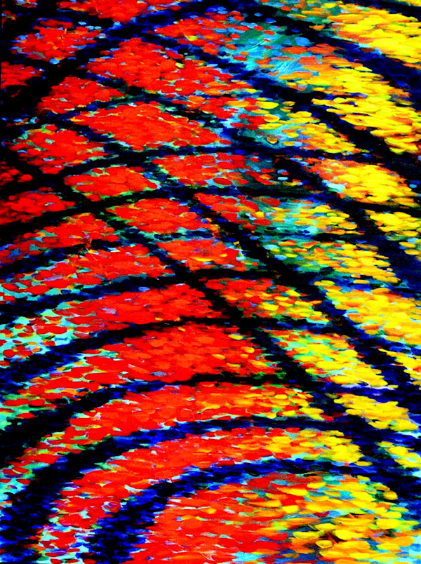 Multiplicity 2 - Bottom by Gerrit Greve, Image 1.