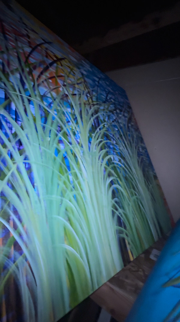 Swamp Reeds by Gerrit Greve