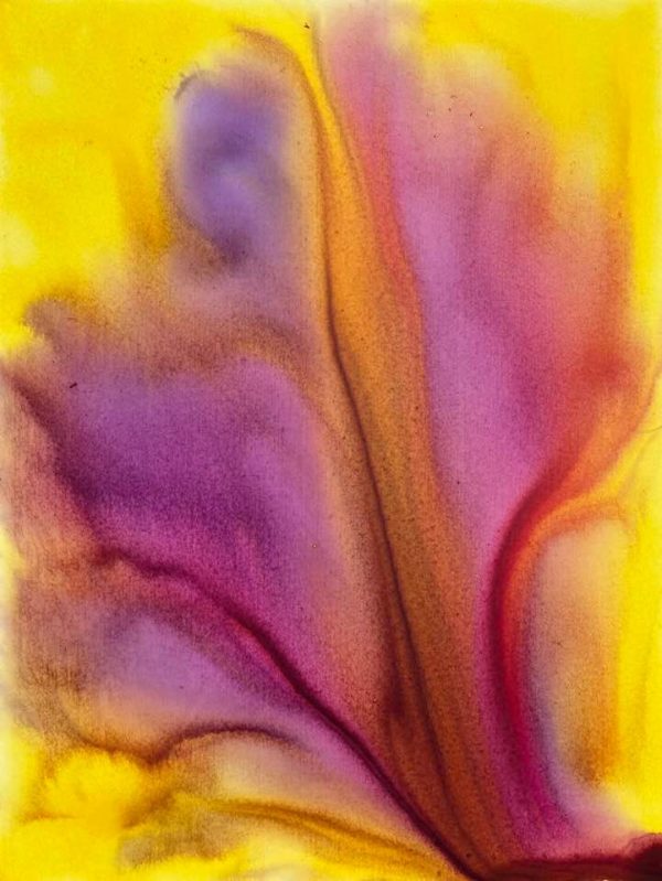 2020-04-18-3 (Sunny Day 3) by Gerrit Greve