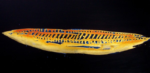 Spirit Boat 79 by Gerrit Greve