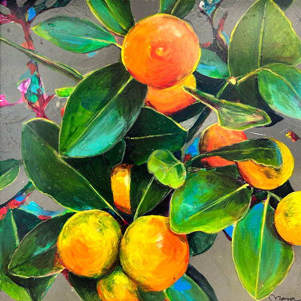 Kumquats by Nara Montuy