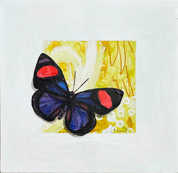 Spotted on Yellow by Nara Montuy