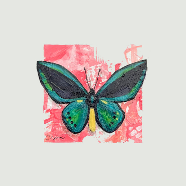 Teal on Pink by Nara Montuy
