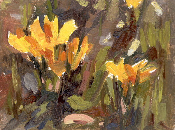 Yellow crocuses by Alena Gastaldi, Image 1.