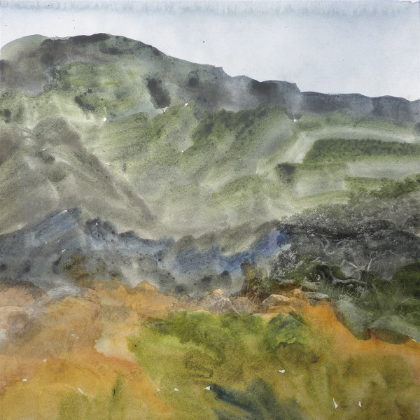 19.03 ORANGE SWATH/Madrone by Keith Wilson