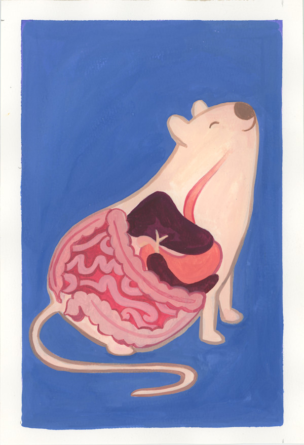 Digestive Rat by Avalon Traser