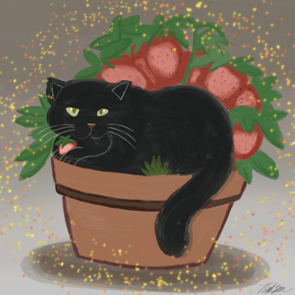 Black Cat in a Strawberry Potted Plant by Brandon Espinoza