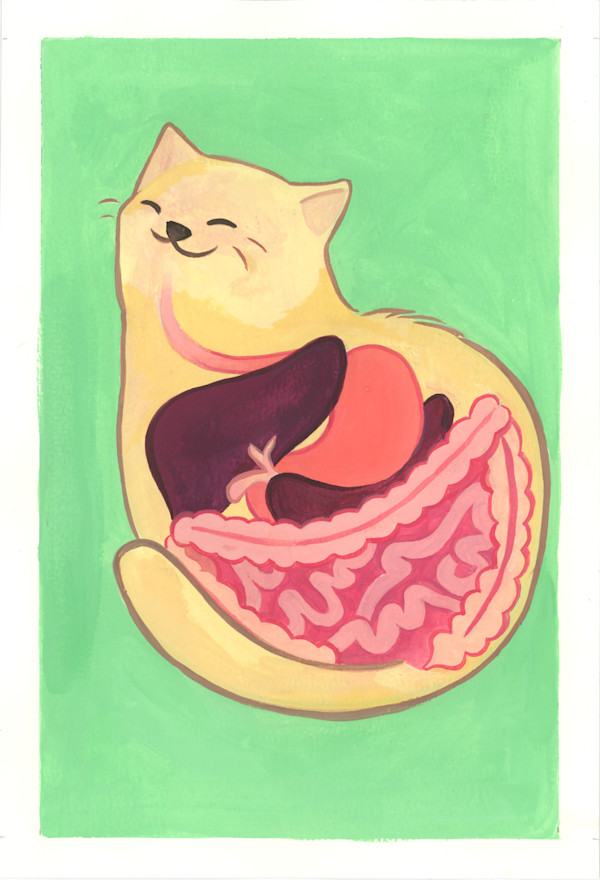 Digestive Cat by Avalon Traser