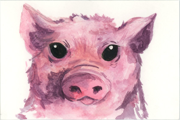 PIG by Avalon Traser