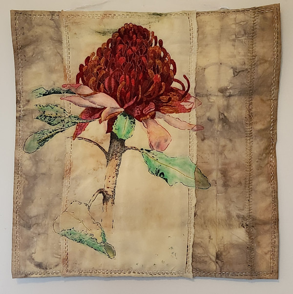 Waratah by Julie-Anne Rogers