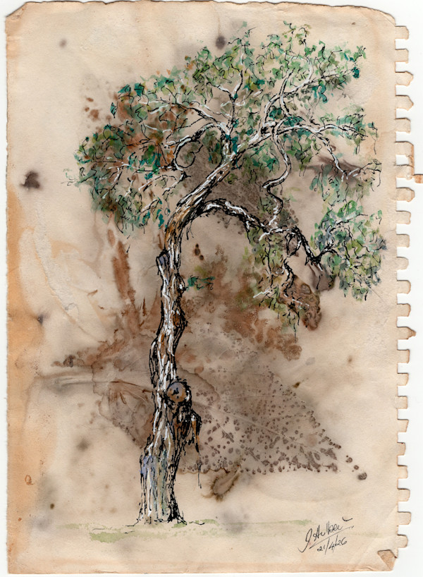 Tree Study 1 by Julie-Anne Rogers, Image 1.
