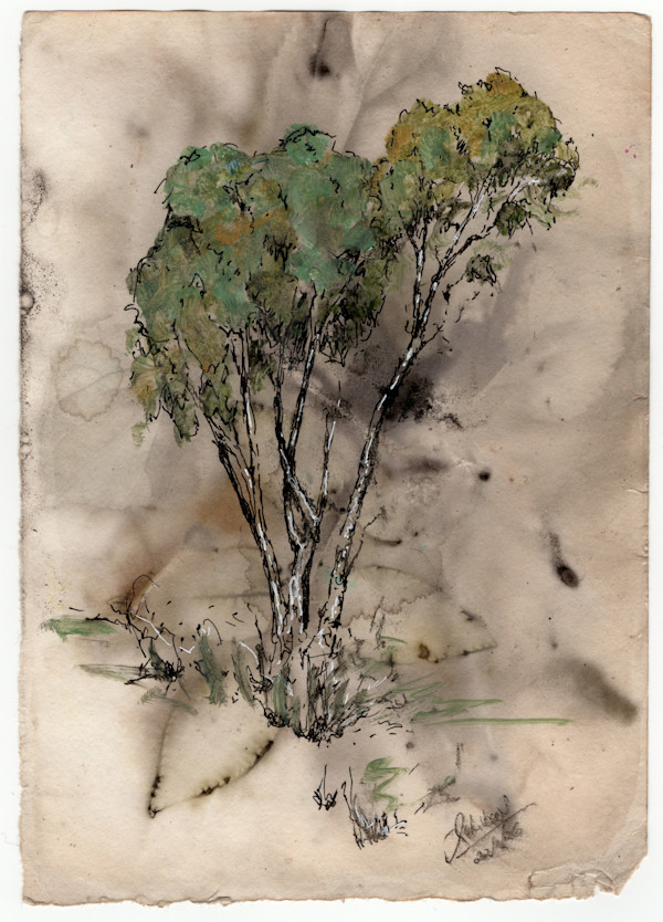 Tree Study 2 by Julie-Anne Rogers, Image 1.