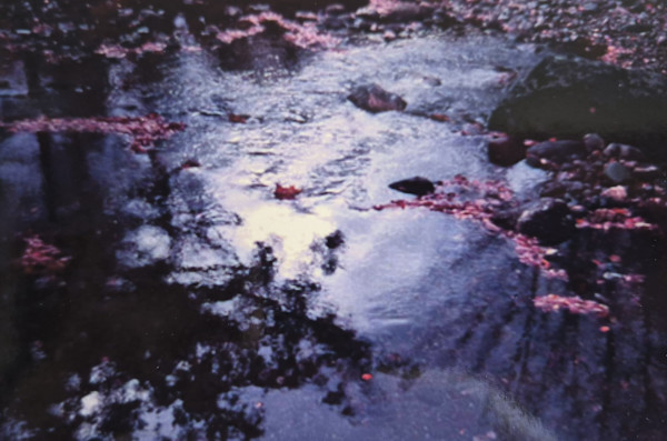 Creation by J. Patrick Bowman