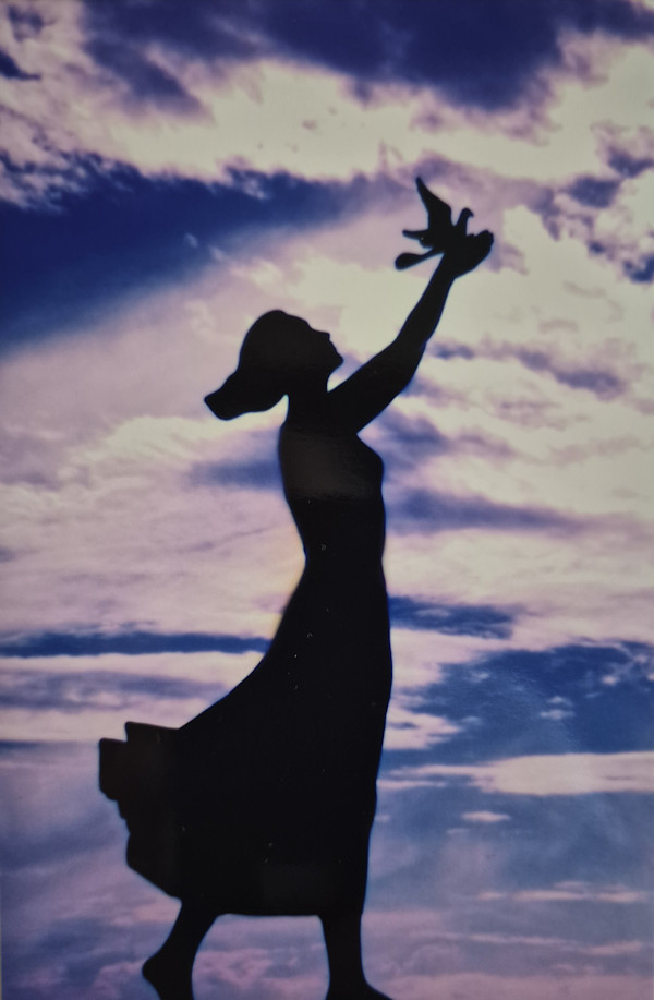 Take Flight 2 by J. Patrick Bowman