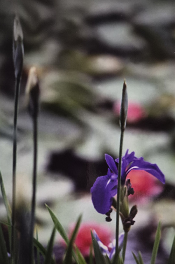 On the Edge 2 by J. Patrick Bowman