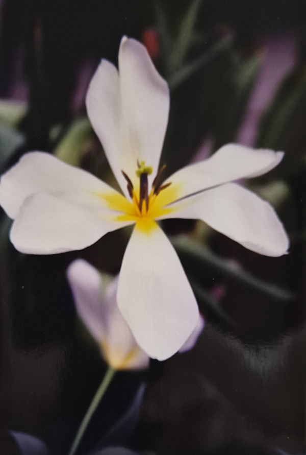 On the Edge 3 by J. Patrick Bowman