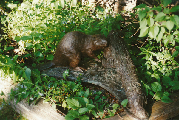 Beaver & Fallen Tree (City Hall, Calgary, AB) by Karen Begg