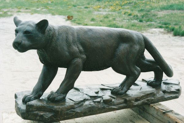 Cougar by Karen Begg