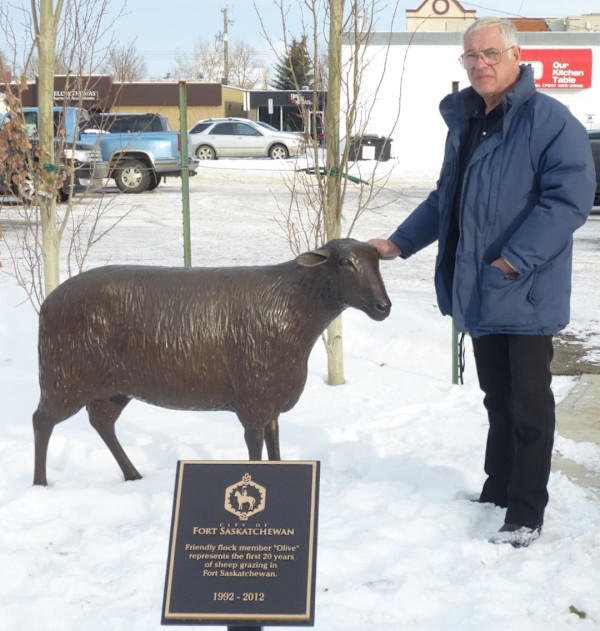 Olive - Life size plus 10% sheep - Downtown - Fort Saskatchewan, AB. by Karen Begg