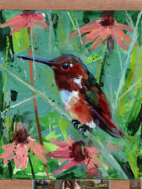 Coneflower Hummer by Shannon Abbey