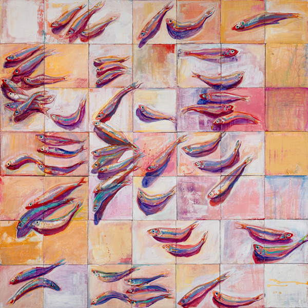 Delta Smelt by Shannon Abbey, Image 1.