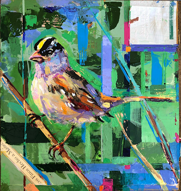 Golden Crowned Sparrow by Shannon Abbey