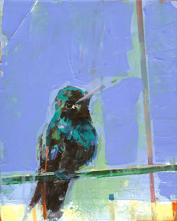 Hummingbird Blu by Shannon Abbey