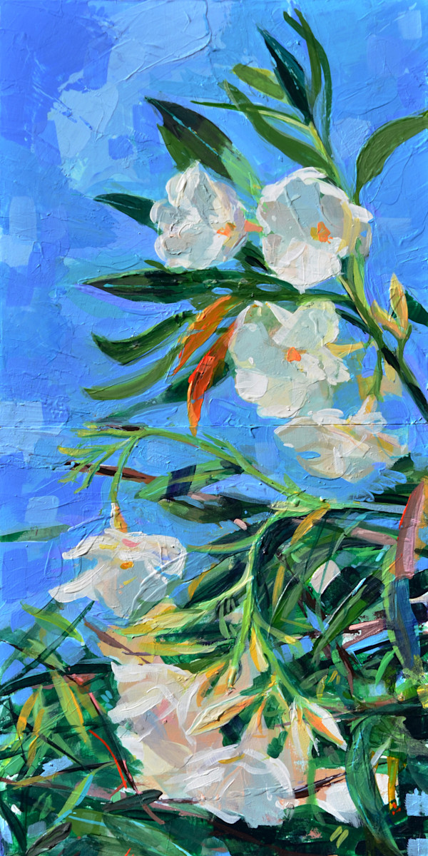 Oleanders by Shannon Abbey